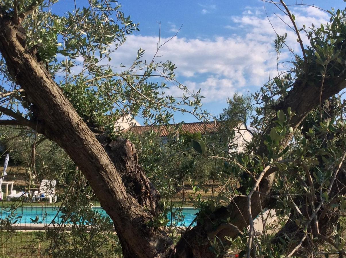 Tenuta Don Ballore Galtellì Exteriör bild