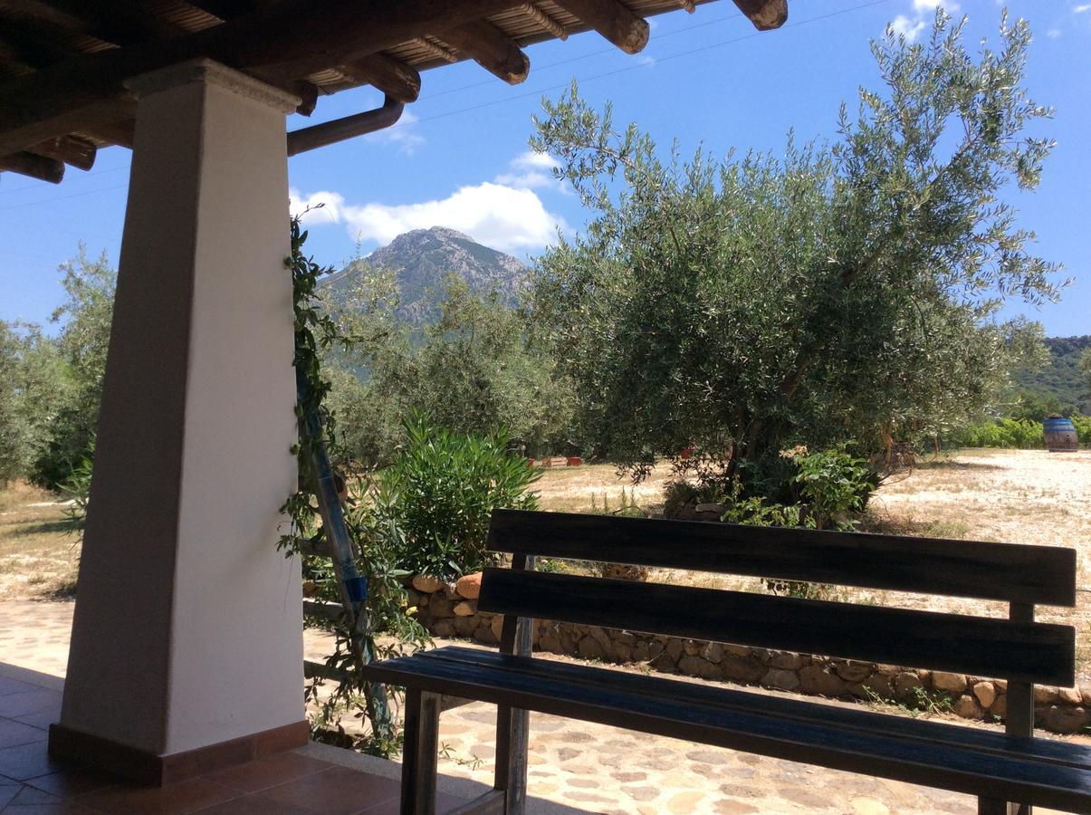 Tenuta Don Ballore Galtellì Exteriör bild